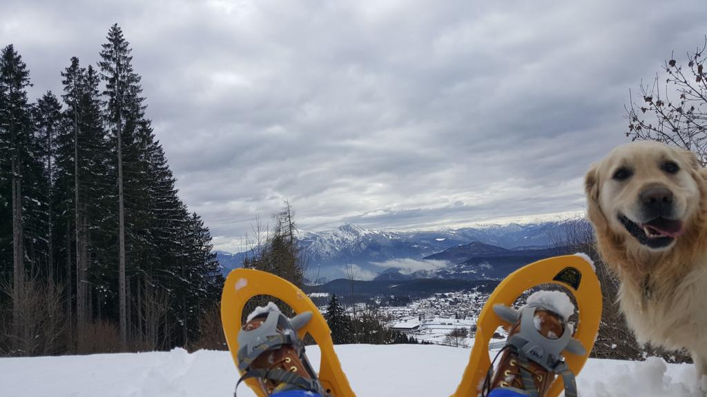 Hotel Olimpic Baselga di Pinè Dış mekan fotoğraf